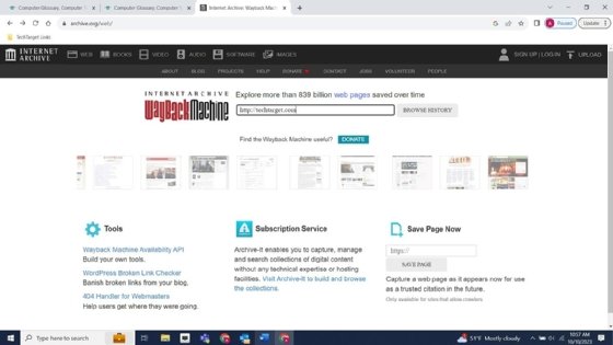Screenshot of adding a website address to the Wayback Machine search bar.