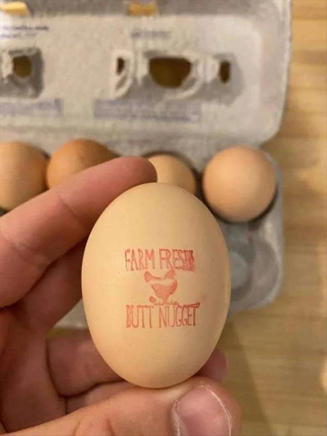 A person holding an egg with this phrase stamped on it "Fresh patchwork farm"