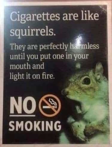 A sign with a picture of a squirrel singing. "Cigarettes are like squirrels, they are completely harmless until you put them in your mouth and light them." And "No smoking"